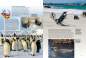 Preview: Entdecke die Pinguine
